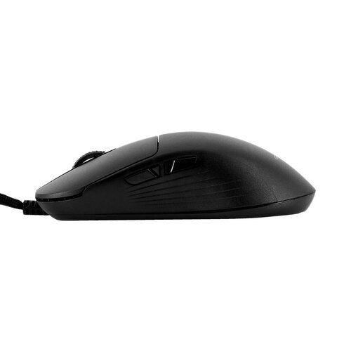 EPOCH Carpo - Image 3